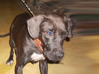 Βρέθηκε στον Βύρωνα