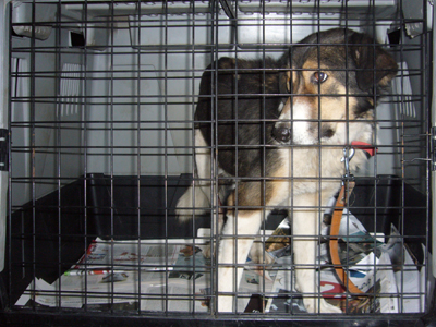 Βοηθήστε να ανακουφιστεί απ’ τους πόνους