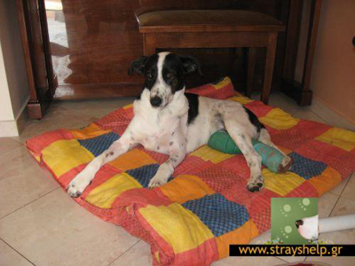 Η Έλλη χρειάζεται τη βοήθειά μας για να μη μείνει ανάπηρη