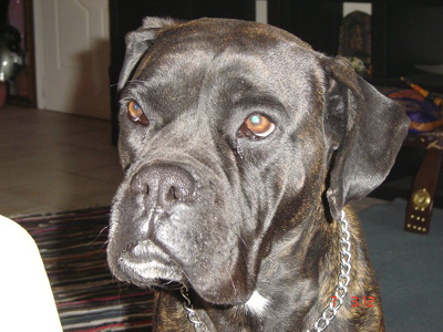 Την ψάχνουν εδώ και μήνες