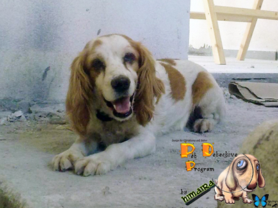 Χάθηκε στο Περιστέρι