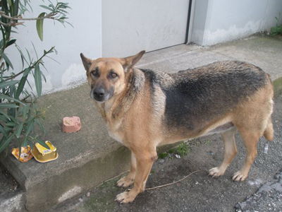 Δώστε της μια ευκαιρία!