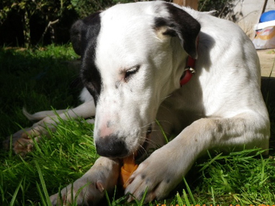 Βοηθήστε την Ήρα να βρει σπίτι