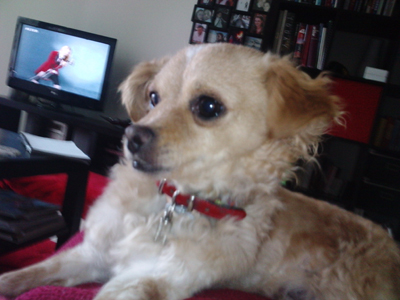 Ψάχνουν την Κάρμεν, την έχασαν στα Βριλήσσια