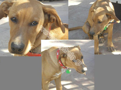 Χαρίζεται η κουκλίτσα…