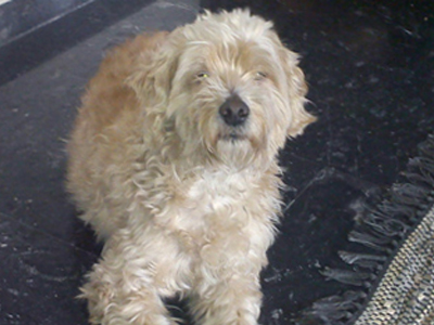 Μήπως τη χάσατε;