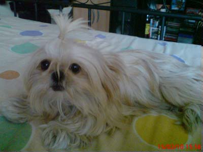 Αναζητούν τη Λυδία