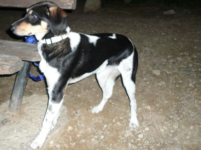 Την παράτησαν λόγω διακοπών