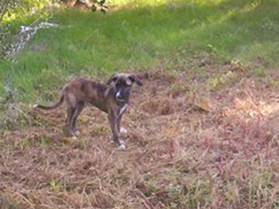 Και η Μισέλ ψάχνει σπίτι