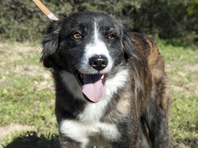 Χαρίζουν τη Νερίτα