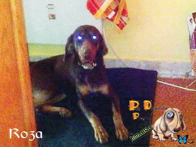 Χάθηκε στο Περιστέρι