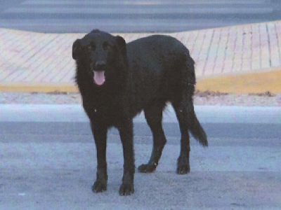 Ψάχνουν τη Σάλλυ που εξαφανίστηκε από τον Διόνυσο