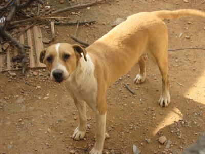 Ψάχνουν τη Θέλμα από την Ελευσίνα