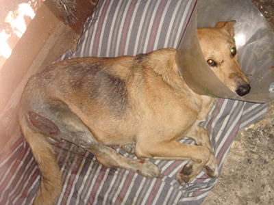 Την έσερναν πάνω στην άσφαλτο