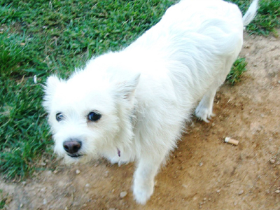 Την έχασαν και την αναζητούν