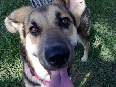 Την έχασαν και την αναζητούν