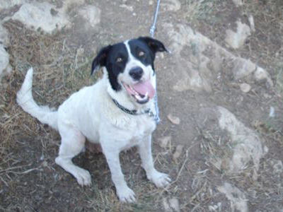 Προσπάθησε να «απαλλαγεί» από την παρουσία της