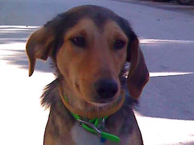 Μήπως την χάσατε;