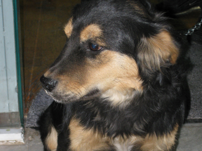 Τη βρήκαν. Μήπως τη χάσατε;