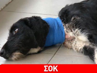 Τον έδεσαν με σύρμα για τον κρεμάσουν