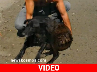 Πέθανε σφαδάζοντας από τους πόνους