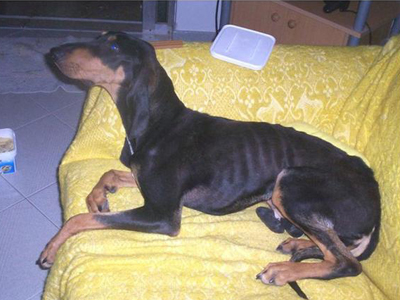 Η Ρίτα ψάχνει σπίτι