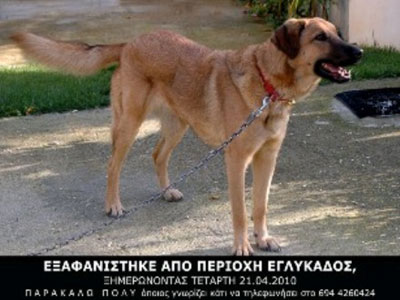 Εξαφανίστηκε και την αναζητούν