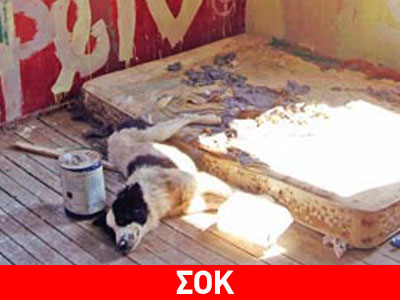 Βαρβαρότητα άνευ προηγουμένου