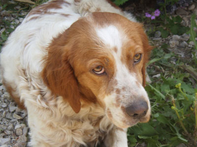 Τον γνωρίζετε;