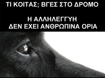 Διαμαρτυρία για τα εγκλήματα απέναντι στα ζώα