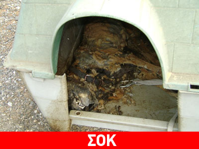 Άφησαν δεμένο τον σκύλο μέχρι να πεθάνει