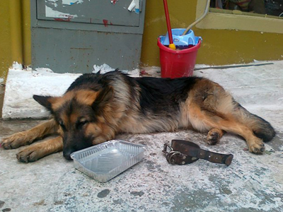 Χάθηκε και την αναζητούν