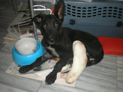 Τα πάει μια χαρά…