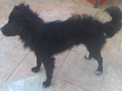 Τα απελευθέρωσαν από τους δυνάστες τους…