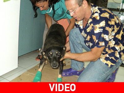 Η Φέρι τα κατάφερε, η ναυτιλιακή αδιαφόρησε!