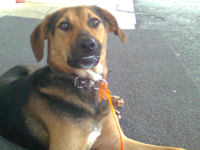 Μήπως τον χάσατε;