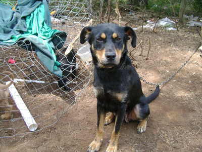 H Λάκη ψάχνει σπίτι!