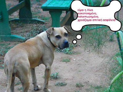 Η Λίνα ψάχνει τη δική της οικογένεια