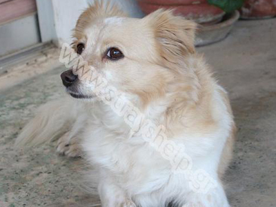 Μια πρωταθλήτρια που κάποιος πέταξε από το μπαλκόνι