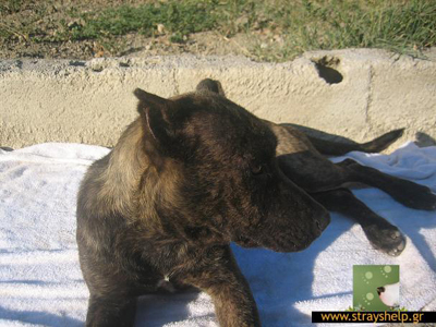 Την έσωσε η Μαρία