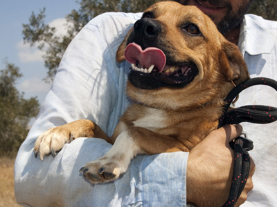 Ο Μορτάκος ψάχνει σπίτι