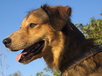 Ο Όμηρος γιατρεύτηκε και ψάχνει τη δική του οικογένεια