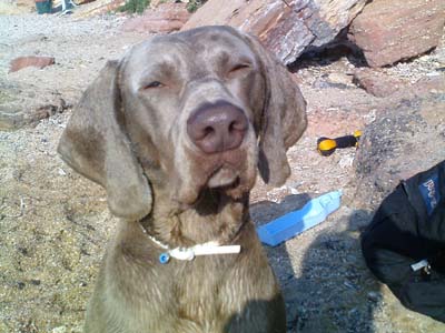 Ψάχνουν τον «Ούχ Ούχ Ούχ»