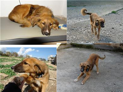 Ο όμορφος Πάρης ψάχνει σπίτι