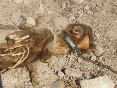 Αυτά συμβαίνουν στην Κρήτη…