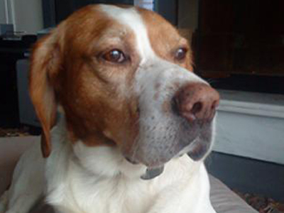 Τον ψάχνει εδώ και έναν χρόνο