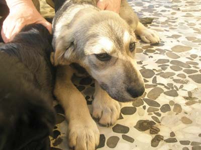 Χάθηκε στην Πλατεία Κολιάτσου