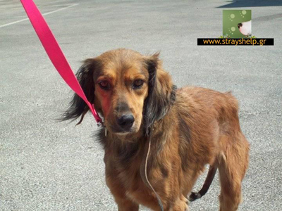 Τη βρήκαν μετά από δύο χρόνια