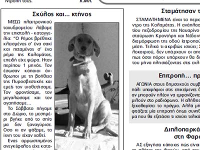 Το κτήνος κρέμασε τον σκύλο!