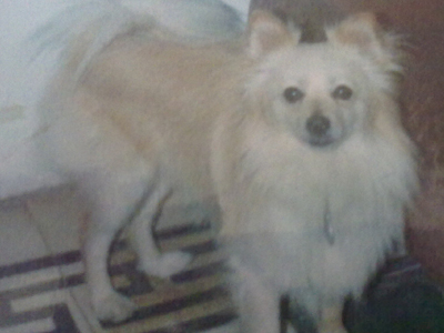 Τον έχασαν στην Καισαριανή